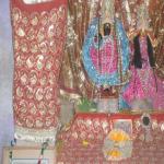 Vraj-Yatra-2014- (2487)